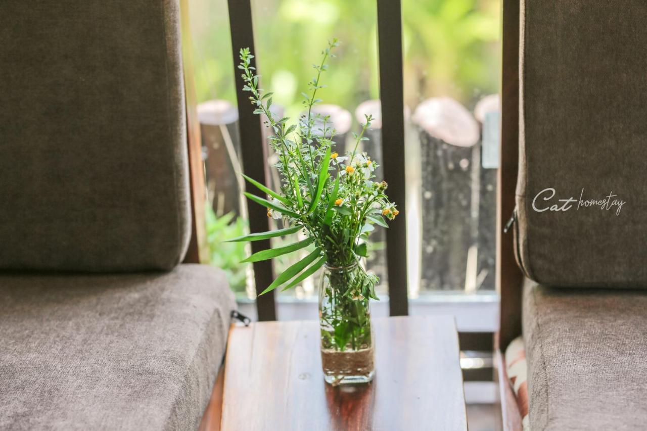 هوي Cat Homestay المظهر الخارجي الصورة