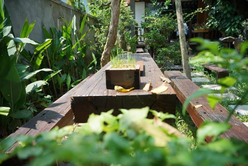 هوي Cat Homestay المظهر الخارجي الصورة