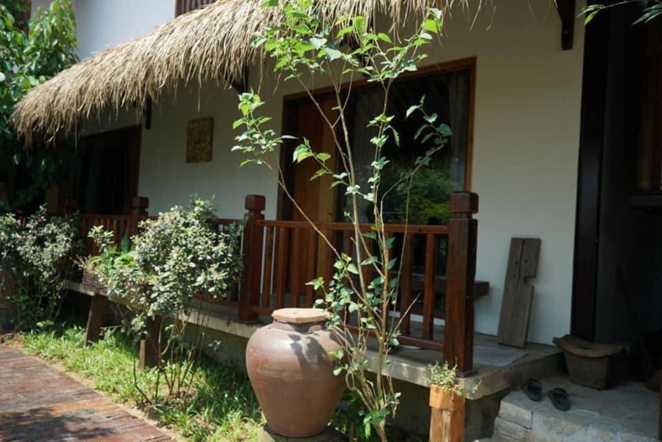 هوي Cat Homestay المظهر الخارجي الصورة