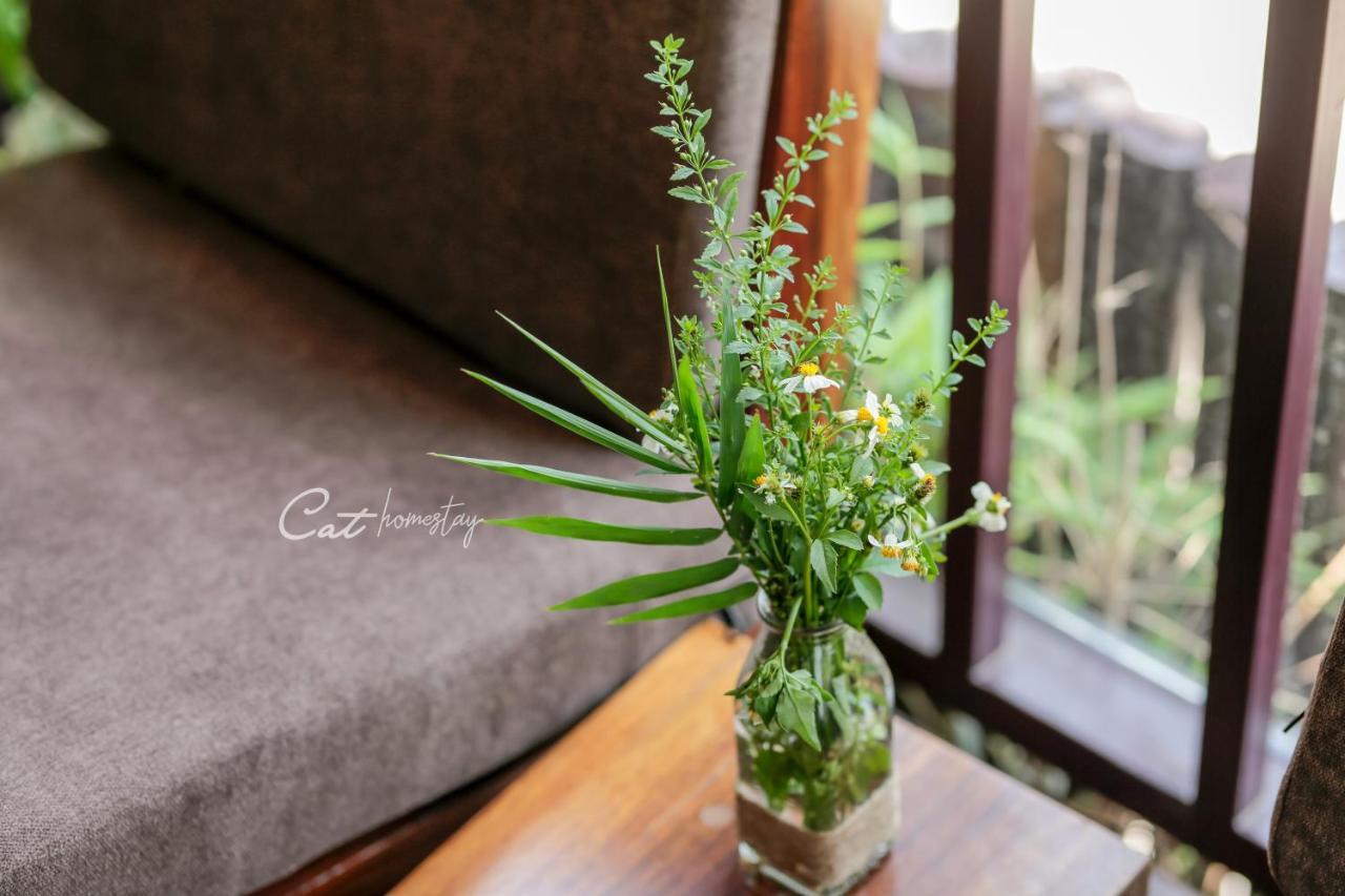 هوي Cat Homestay المظهر الخارجي الصورة