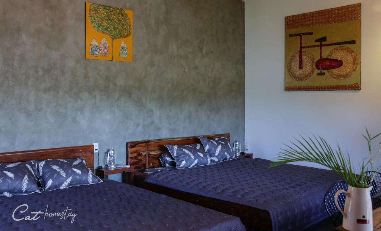 هوي Cat Homestay المظهر الخارجي الصورة