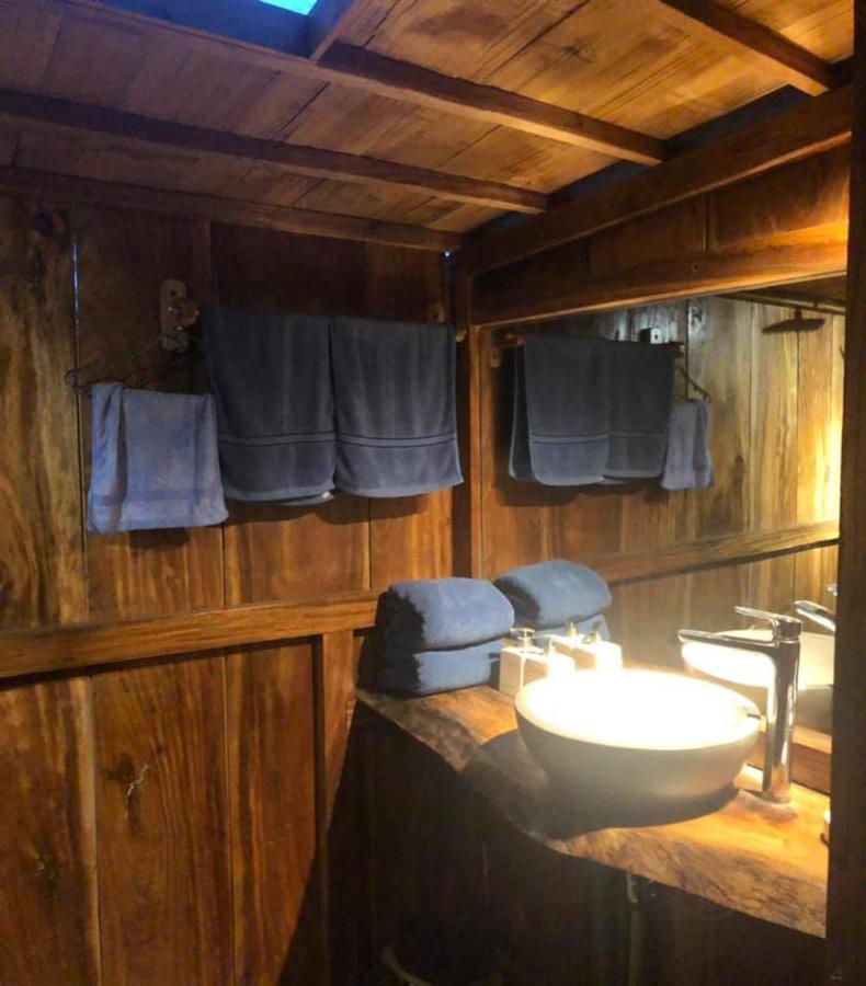 هوي Cat Homestay المظهر الخارجي الصورة