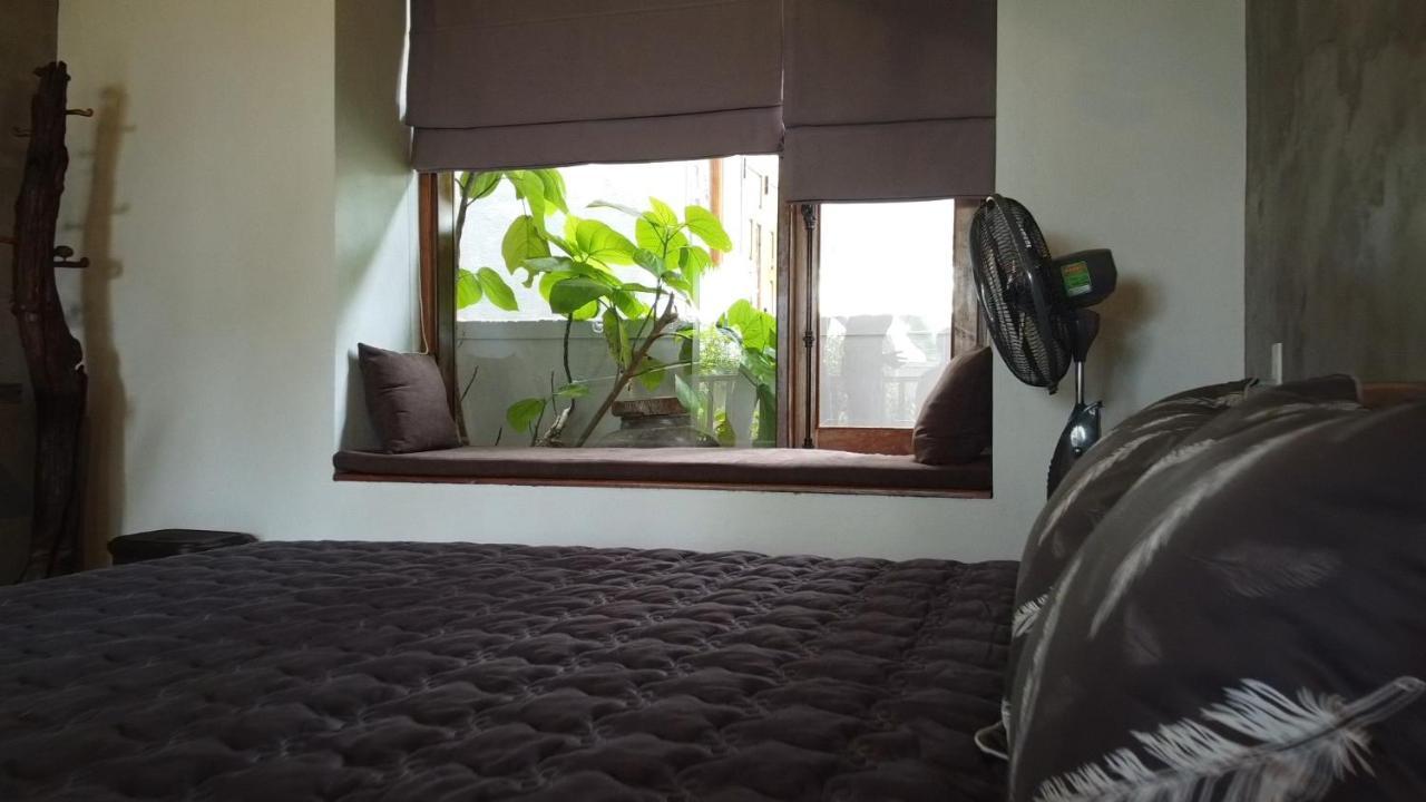 هوي Cat Homestay المظهر الخارجي الصورة
