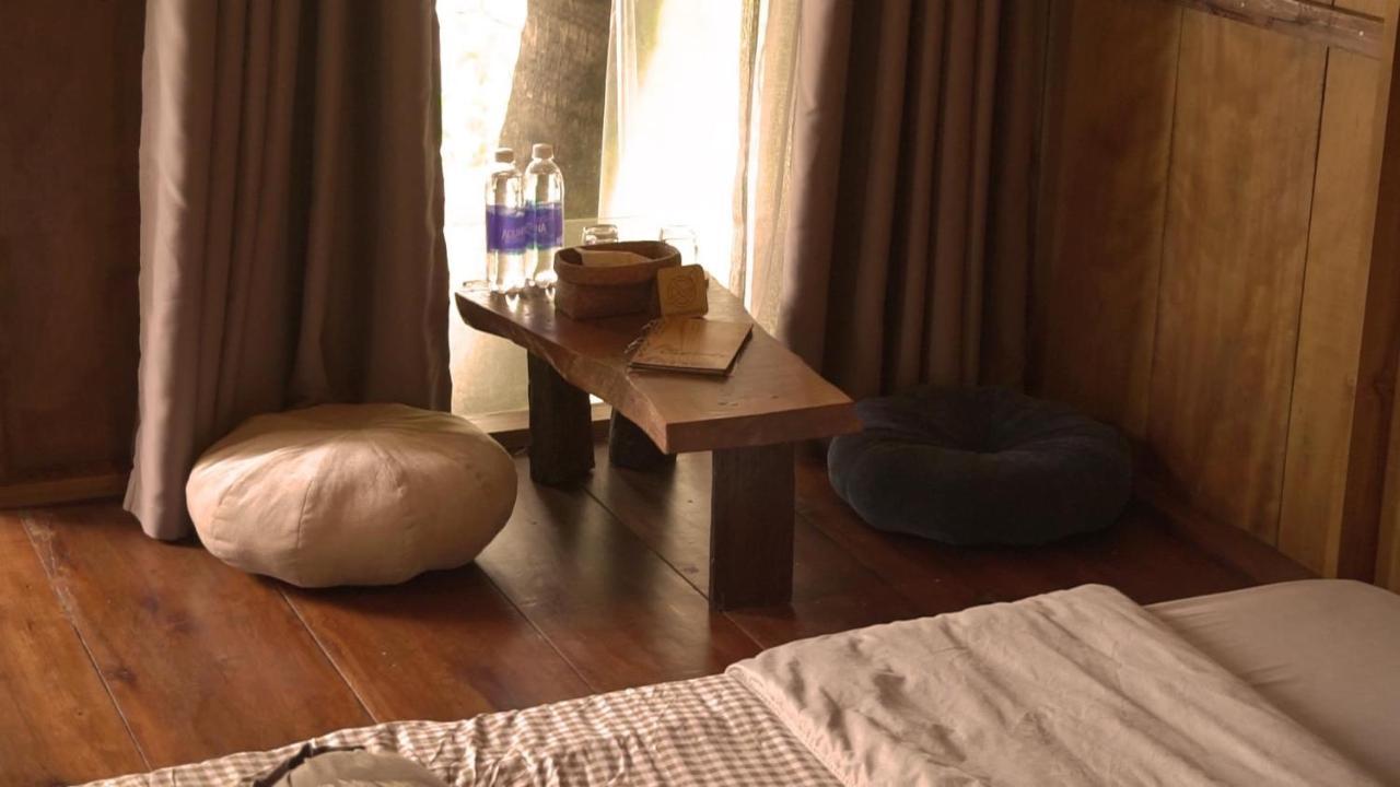 هوي Cat Homestay المظهر الخارجي الصورة