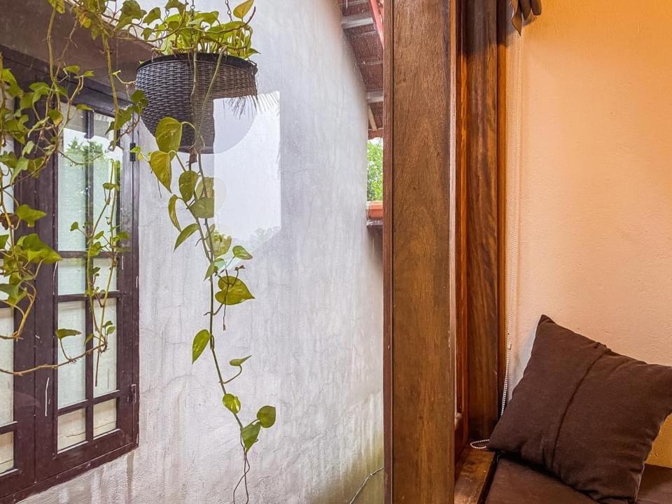 هوي Cat Homestay المظهر الخارجي الصورة