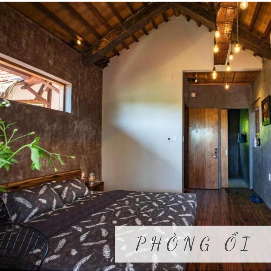 هوي Cat Homestay المظهر الخارجي الصورة