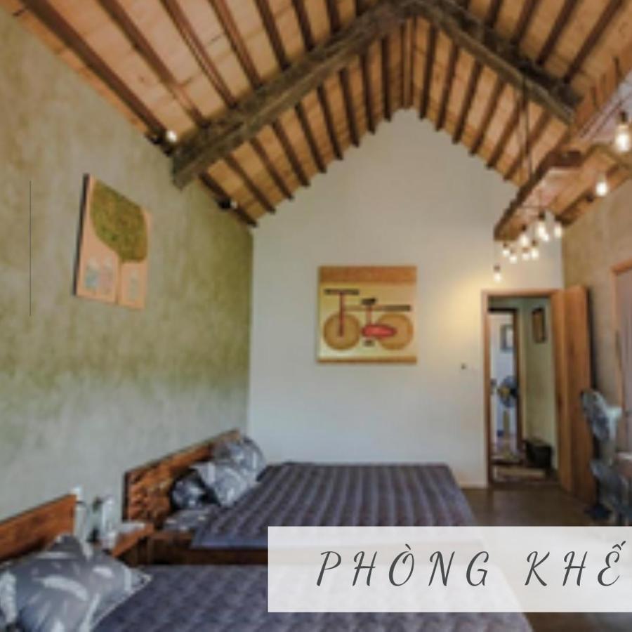 هوي Cat Homestay المظهر الخارجي الصورة