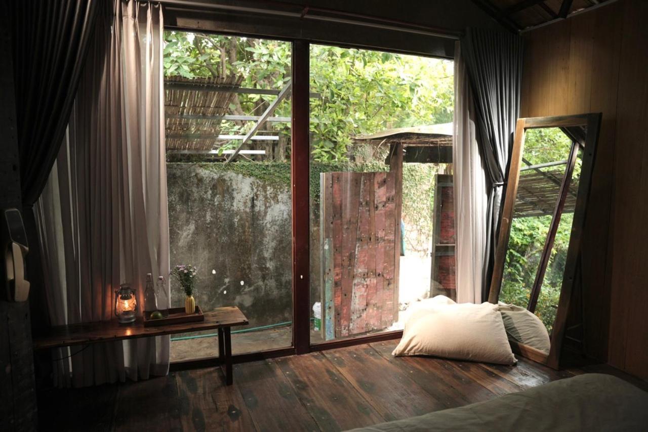 هوي Cat Homestay المظهر الخارجي الصورة